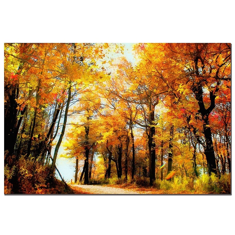 Trademark Fine Art Lois Bryan 'Golden Day' Canvas Art Ready to Hang 18x24 Inches image 1