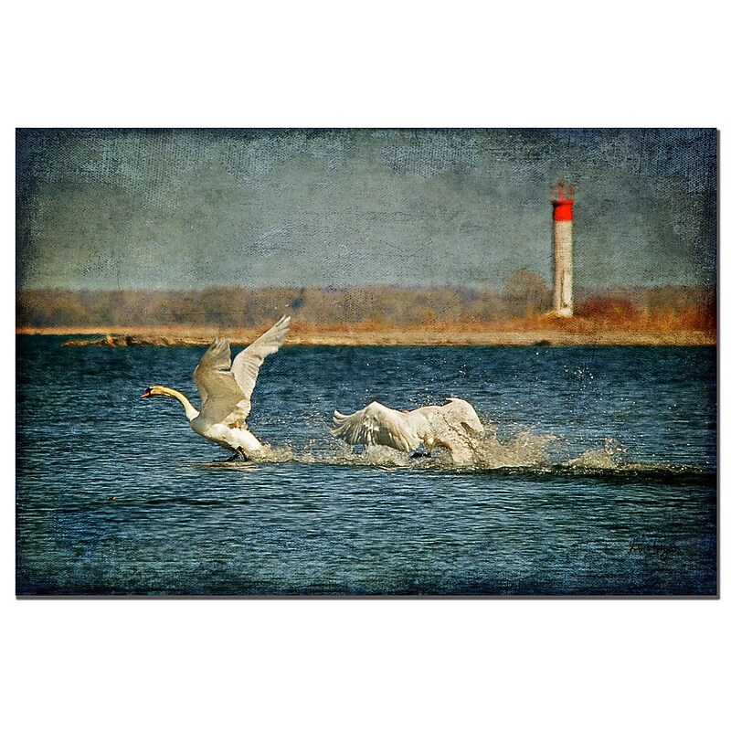 Trademark Fine Art Swans by Lois Bryan-Canvas Ready to Hang 16x24 Inches image 1