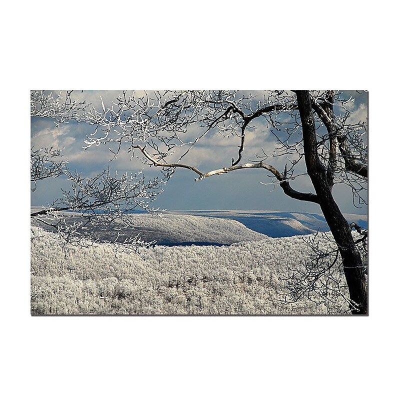 Trademark Fine Art Lois Bryan 'Winter Scene' Canvas Art 14x19 Inches image 1