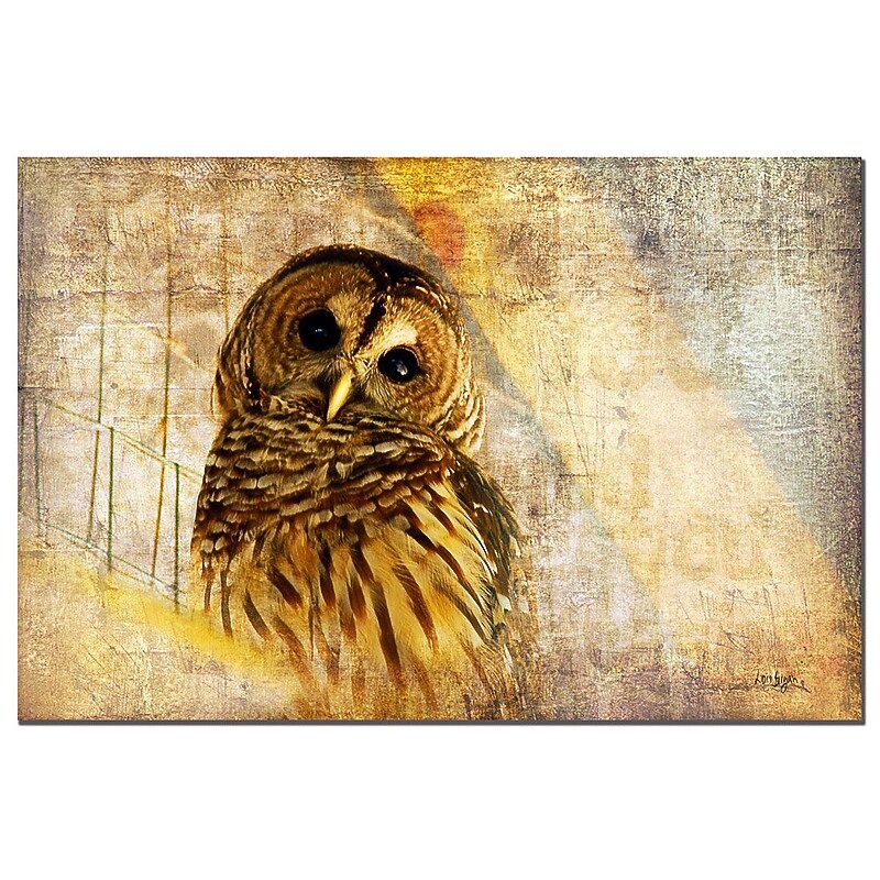 Trademark Fine Art Owl by Lois Bryan-Canvas Ready to Hang 16x24 Inches image 1