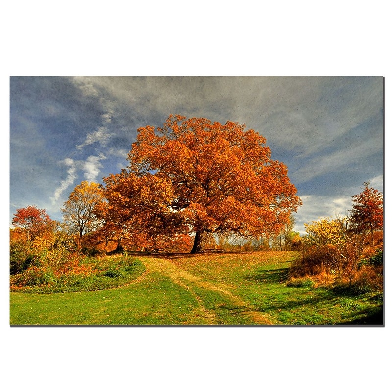 Trademark Fine Art Fall Scene II by Lois Bryan-Canvas Ready to Hang 16x24 Inches image 1