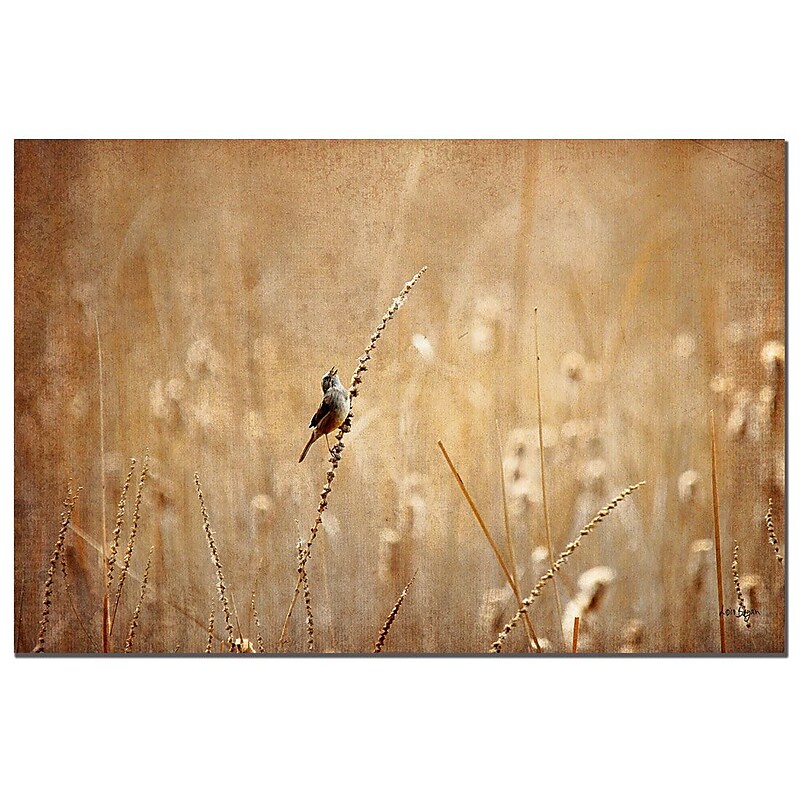 Trademark Fine Art Bird by Lois Bryan-Canvas Ready to Hang 16x24 Inches image 1