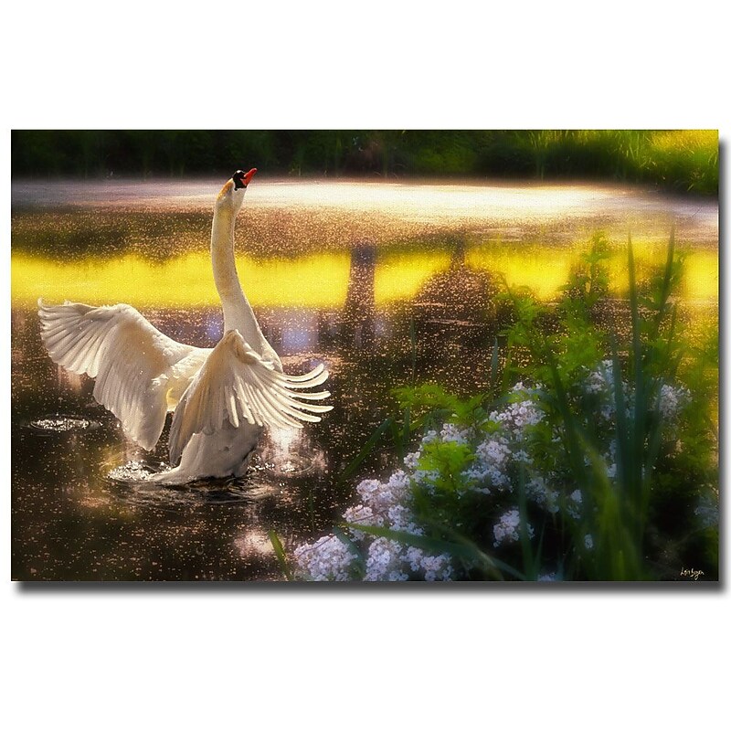 Trademark Fine Art Lois Bryan 'Swan Lake' Canvas Art 14x19 Inches image 1