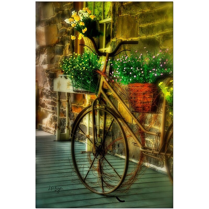 Trademark Fine Art Still Useful by Lois Bryan-Canvas Ready to Hang 16x24 Inches image 1