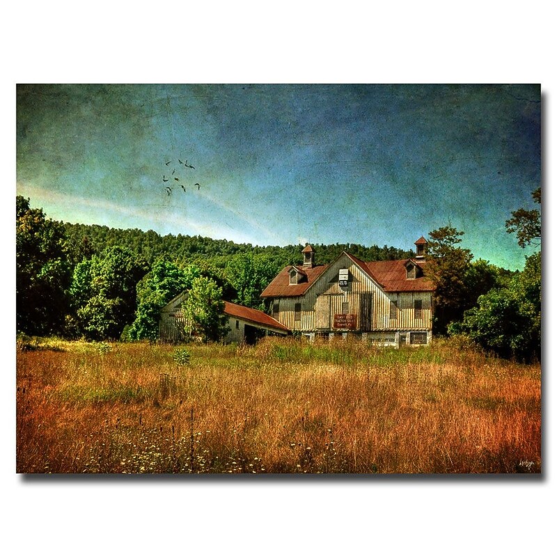 Trademark Fine Art Lois Bryan 'Old Barn in Golden Afternoon Light' Canvas Art 16x24 Inches image 1
