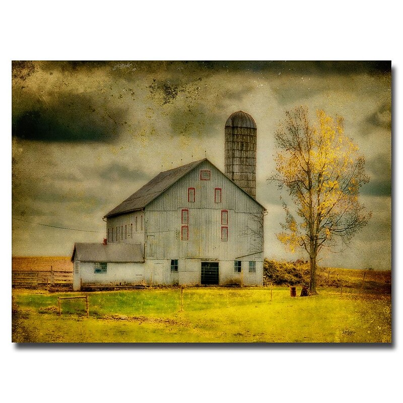 Trademark Fine Art Lois Bryan 'Old Barn on Stormy Afternoon' Canvas Art 30x47 Inches image 1