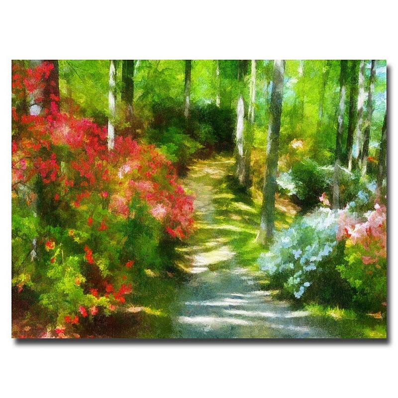 Trademark Fine Art Lois Bryan 'Azaleas in the Morning' Canvas Art 16x24 Inches image 1