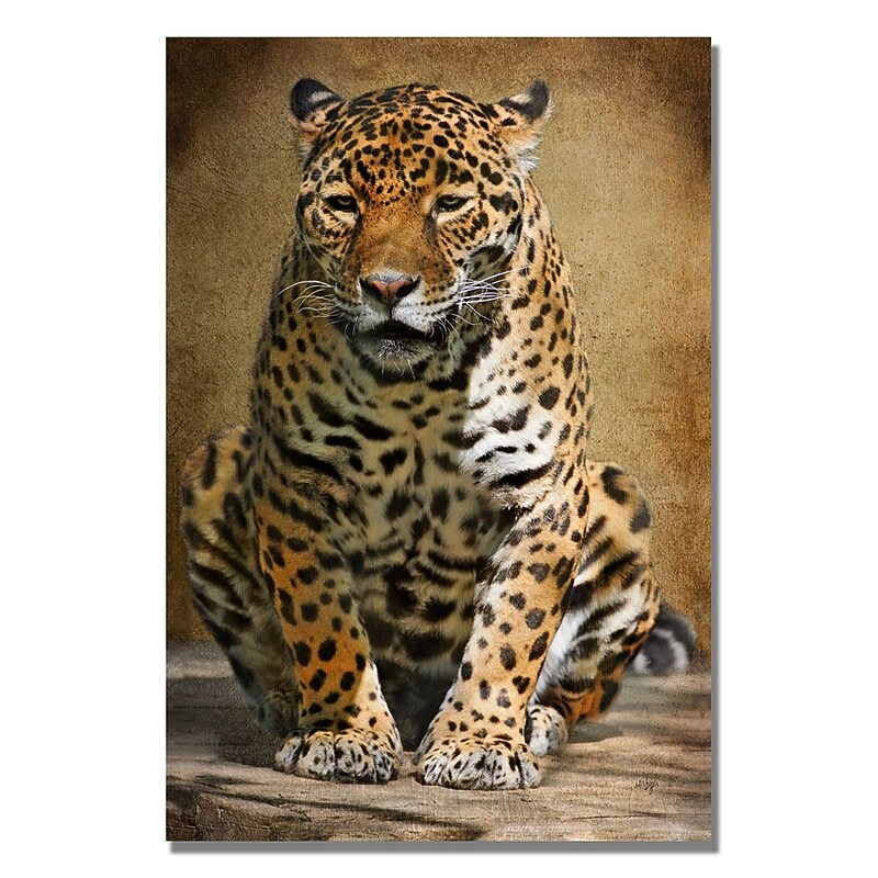 Trademark Fine Art Lois Bryan 'Cheetah' Canvas Art 30x47 Inches image 1