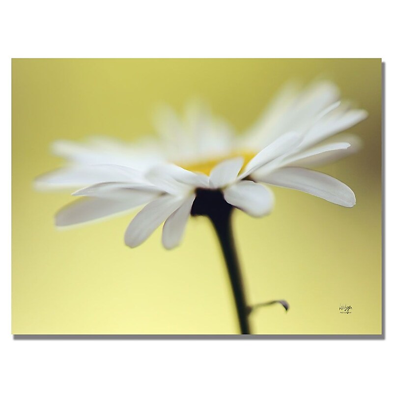 Trademark Fine Art Lois Bryan 'Daisy III' Canvas Art 30x47 Inches image 1