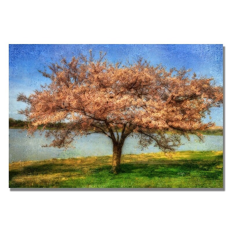 Trademark Fine Art Lois Bryan 'Cherry Tree' Canvas Art 16x24 Inches image 1