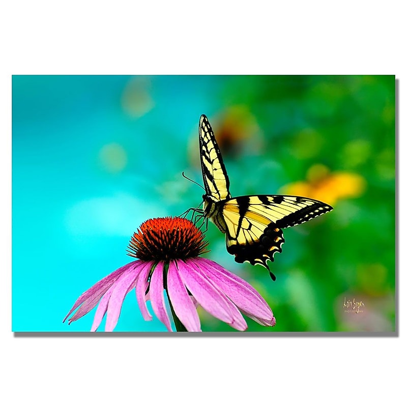 Trademark Fine Art Lois Bryan 'Butterfly on the Edge' Canvas Art 16x24 Inches image 1