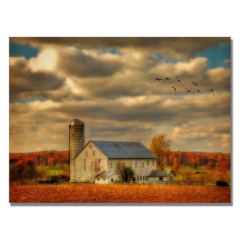 Trademark Fine Art Lois Bryan 'Family Farm II' Canvas Art 18x24 Inches, LBr0162-C1824GG image 1
