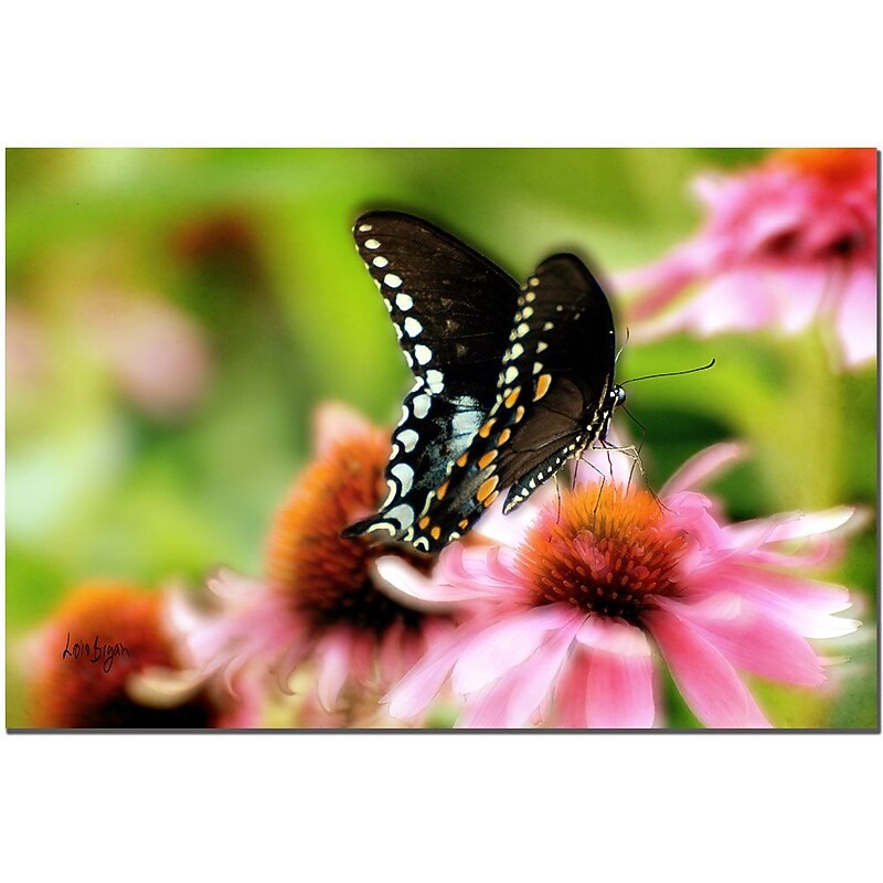 Trademark Fine Art Lois Bryan, Tasty' Canvas Art 16x24 Inches image 1