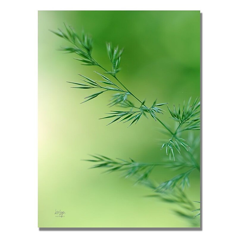 Trademark Fine Art Lois Bryan 'Keep Green' Canvas Art 30x47 Inches image 1