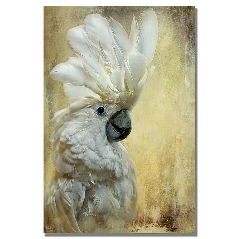 Trademark Fine Art 22" x 32" Hidden Wooden Frame Cockatoo image 1
