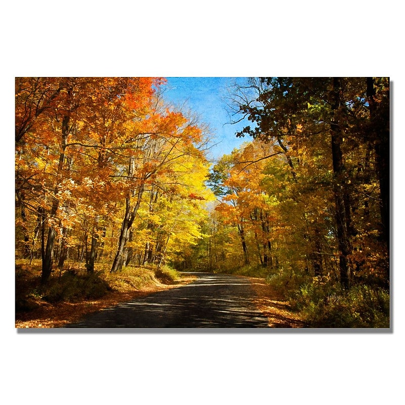 Trademark Fine Art Lois Bryan 'Fall Walkway' Canvas Art 16x24 Inches image 1