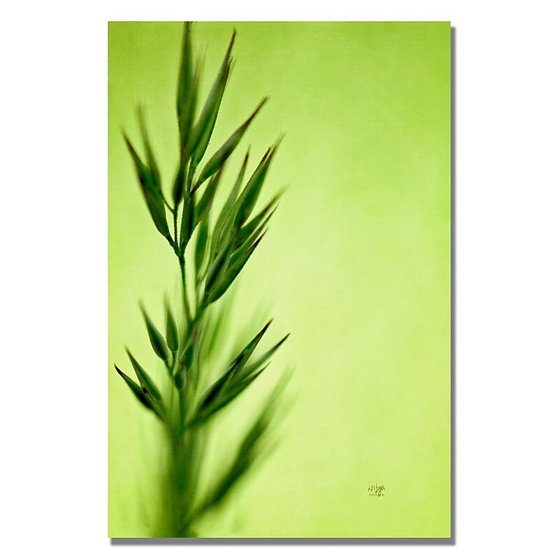 Trademark Fine Art Lois Bryan 'Keep Green II' Canvas Art 30x47 Inches image 1