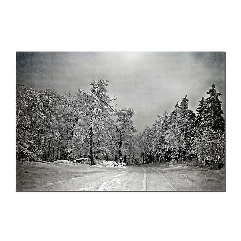 Trademark Fine Art Break in the Storm by Lois Bryan Canvas Art 16x24 Inches image 1