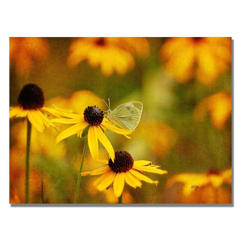 Trademark Fine Art Lois Bryan 'Butterfly on a Flower' Canvas Art 30x47 Inches image 1