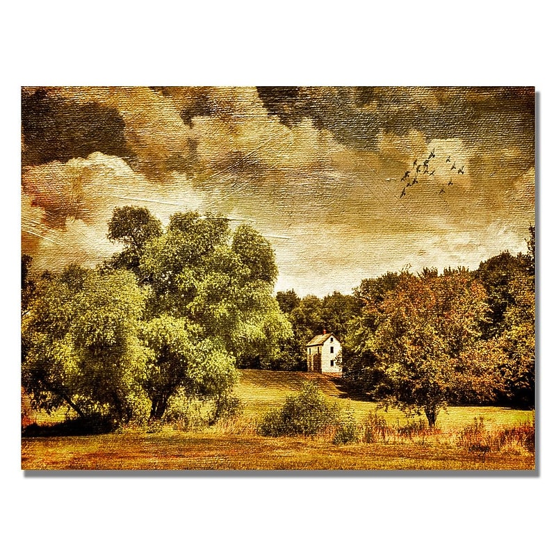 Trademark Fine Art Lois Bryan 'Old Farm House' Canvas Art 22x32 Inches image 1
