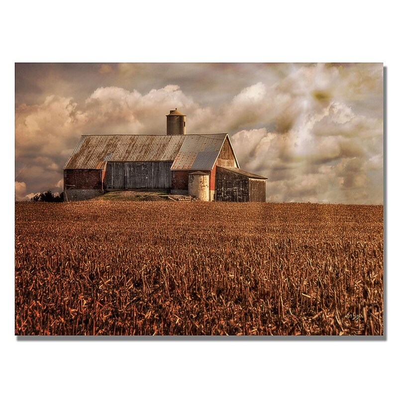 Trademark Fine Art Lois Bryan 'Light for the Farm' Canvas Art 22x32 Inches image 1