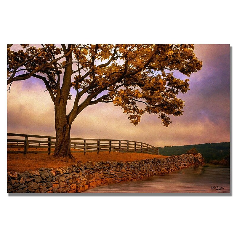 Trademark Fine Art Lois Bryan 'Leading Line' Canvas Art 22x32 Inches image 1