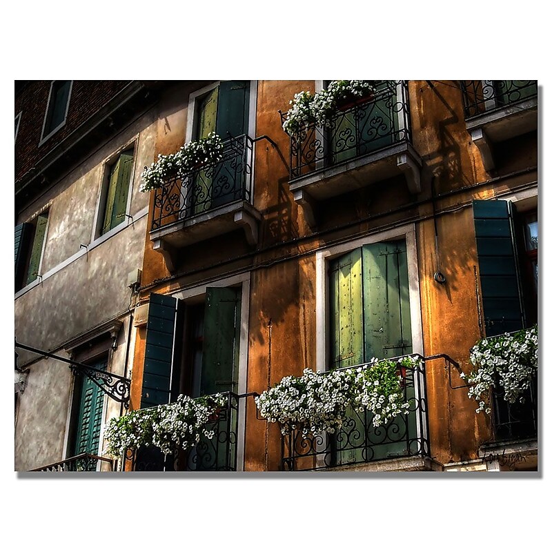 Trademark Fine Art Lois Bryan 'Balcony' Canvas Art 22x32 Inches image 1