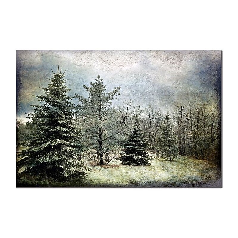 Trademark Fine Art Lois Bryan 'Frosty' Canvas Art  Ready to Hang 22x32 Inches image 1