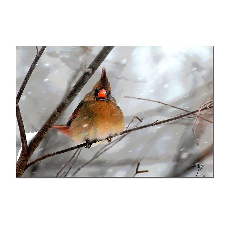 Trademark Fine Art Lois Bryan 'What the...' Matted Art Black Frame 11x14 Inches image 1