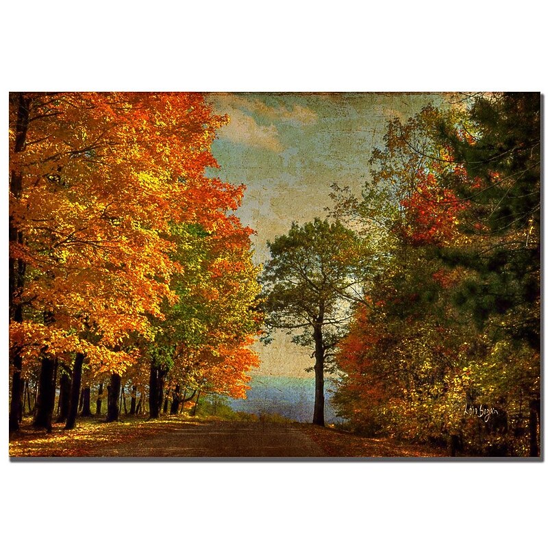 Trademark Fine Art Lois Bryan 'Autumn on the Mountain'' Canvas Art 22x32 Inches image 1