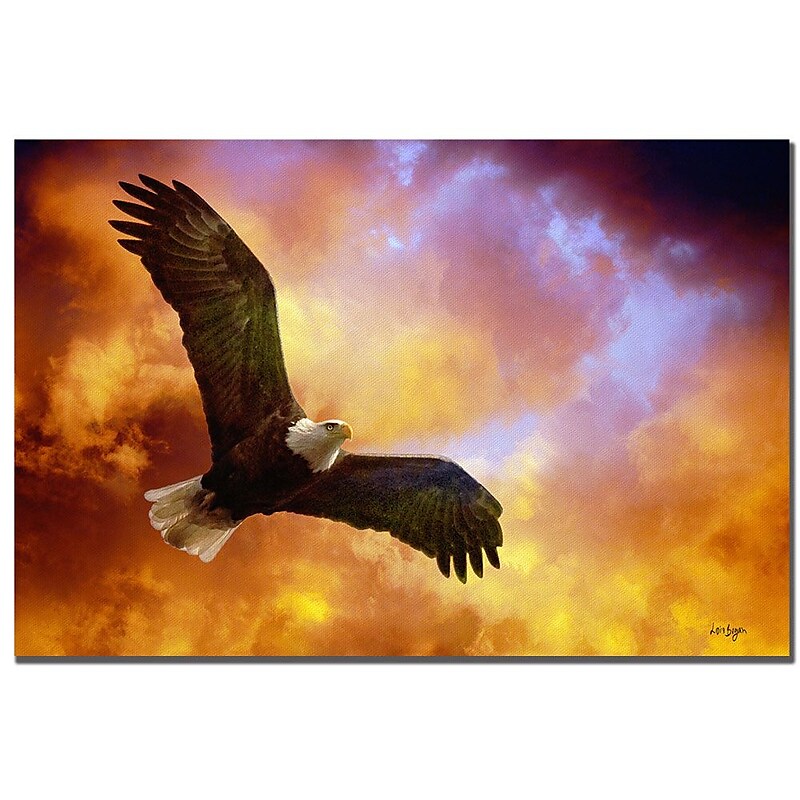 Trademark Fine Art Lois Bryan 'Flight of the Eagle' Canvas Art 22x32 Inches image 1