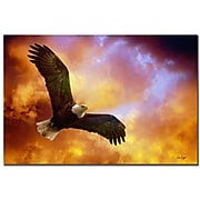 Trademark Fine Art Lois Bryan 'Flight of the Eagle' Canvas Art 16x24 Inches