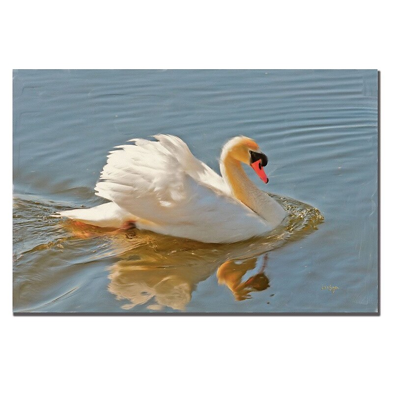 Trademark Fine Art Lois Bryan 'Floating Swan' Canvas Art 30x47 Inches image 1