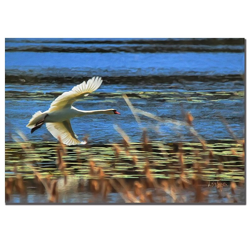 Trademark Fine Art Lois Bryan 'Skimming Swan'' Canvas Art 22x32 Inches image 1