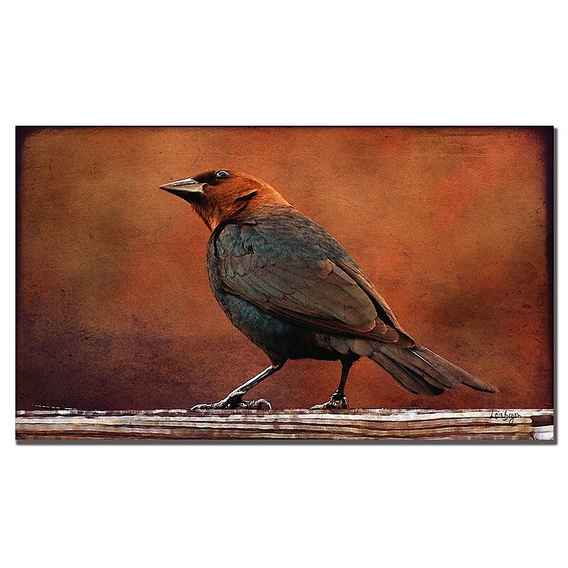 Trademark Fine Art Lois Bryan 'Cowbird in Autumn' Canvas Art 14x24 Inches image 1