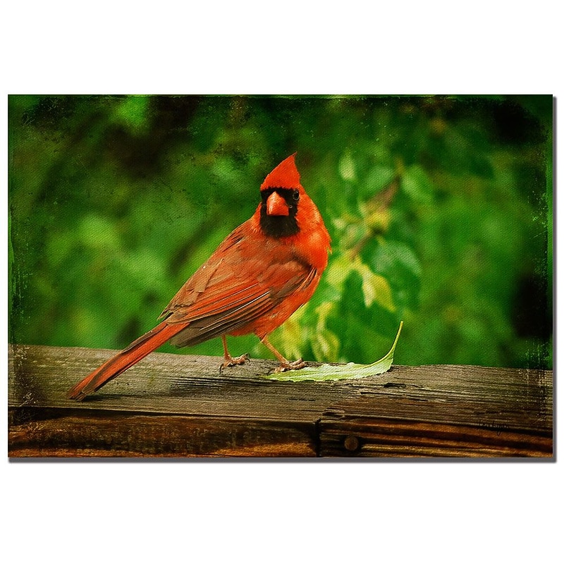 Trademark Fine Art Lois Bryan 'Cardinal in Summer' Canvas Art 22x32 Inches image 1