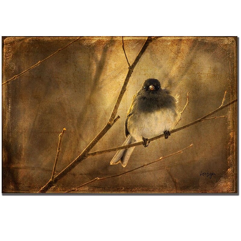 Trademark Fine Art Lois Bryan 'Backlit Birdie Being Buffeted' Canvas Art 22x32 Inches image 1