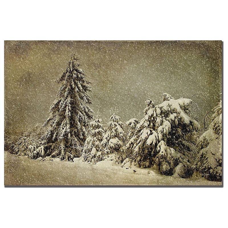 Trademark Fine Art Lois Bryan 'Winter's Wrath with Snow' Canvas Art 16x24 Inches image 1