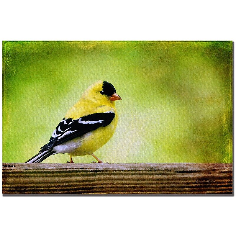 Trademark Fine Art Lois Bryan 'American Golden Finch in Spring' Canvas Art 22x32 Inches image 1