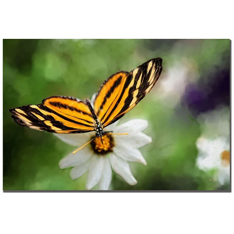 Trademark Fine Art Lois Bryan 'Delicate Balance' Canvas Art 22x32 Inches image 1