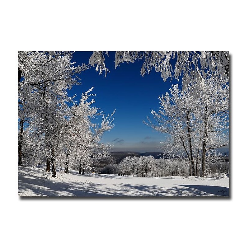Trademark Fine Art Lois Bryan 'Blue Knob' Canvas Art 22x32 Inches image 1