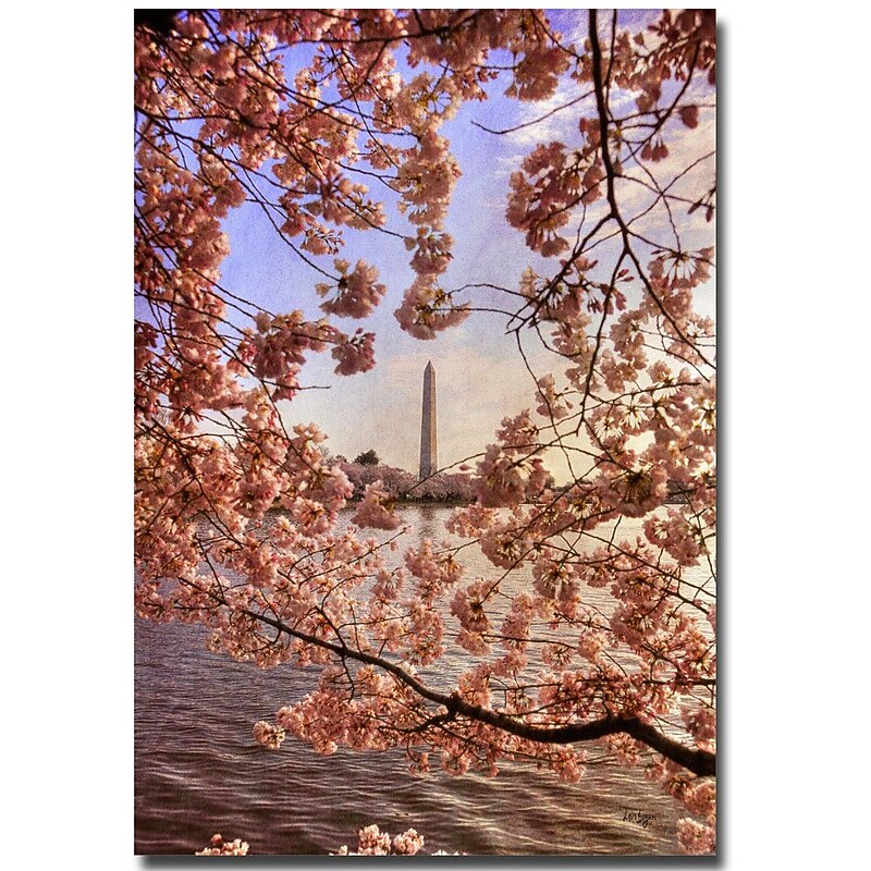 Trademark Fine Art Lois Bryan 'Cherry Blossoms and Washington Monument' Canvas 30x47 Inches image 1