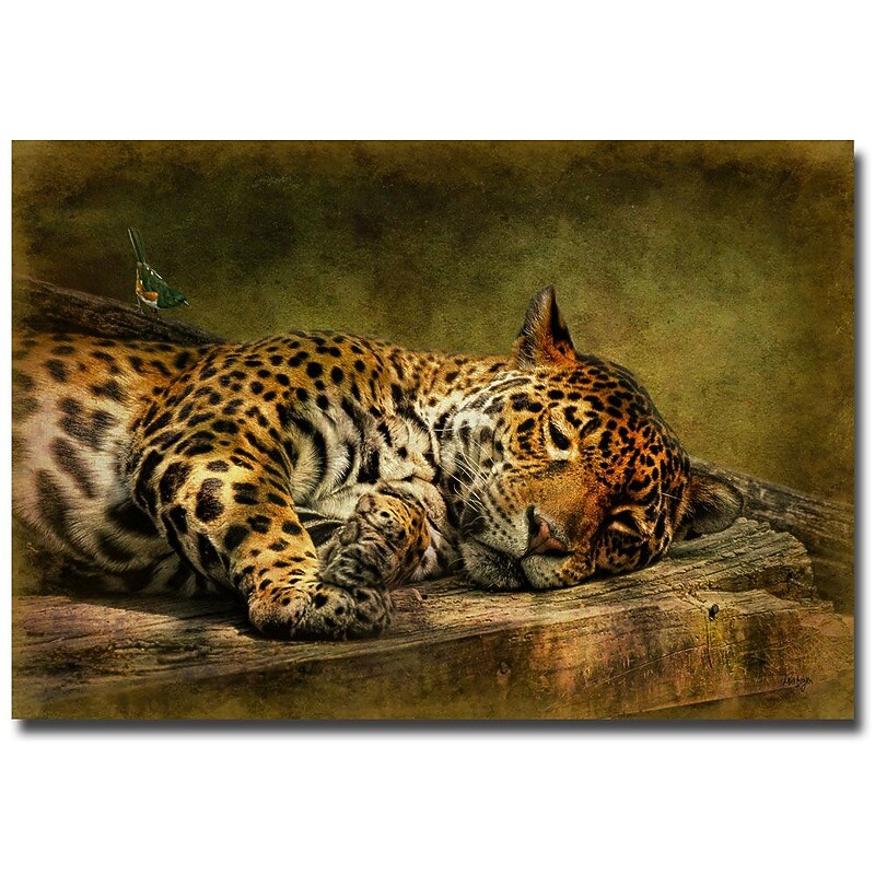 Trademark Fine Art Lois Bryan 'Wake Up Sleepyhead' Canvas Art 14x19 Inches image 1