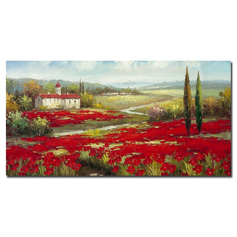 Trademark Fine Art 16" x 32" Wooden Frame Field of Poppies image 1