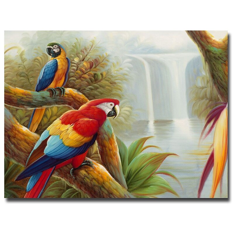 Trademark Fine Art Rio 'Amazon Waterfall' Canvas Art 35x47 Inches image 1