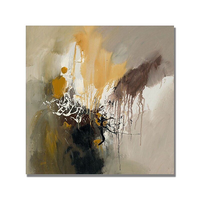 Trademark Fine Art Rio 'Abstract I' Canvas Art 18x18 Inches image 1