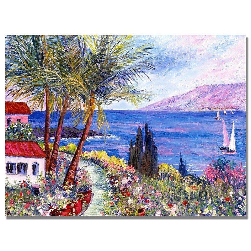 Trademark Fine Art Manor Shadian 'Hawaii Wind Surf' Canvas Art image 1