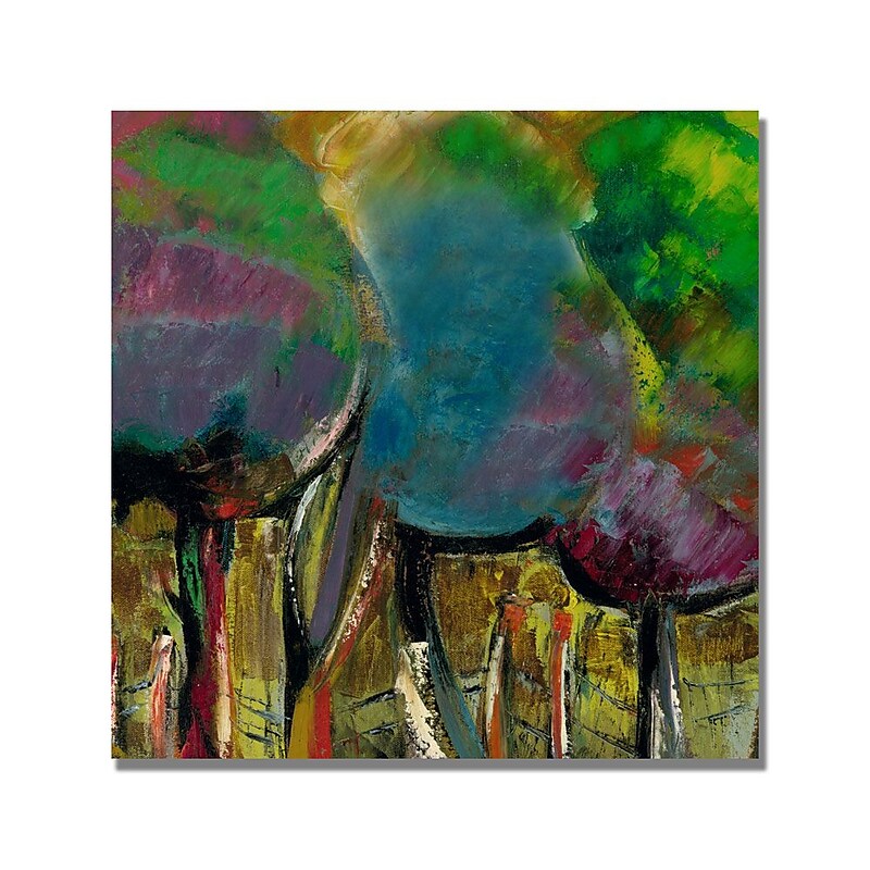 Trademark Fine Art 'Boyer Manzano de Noche' Canvas Art image 1