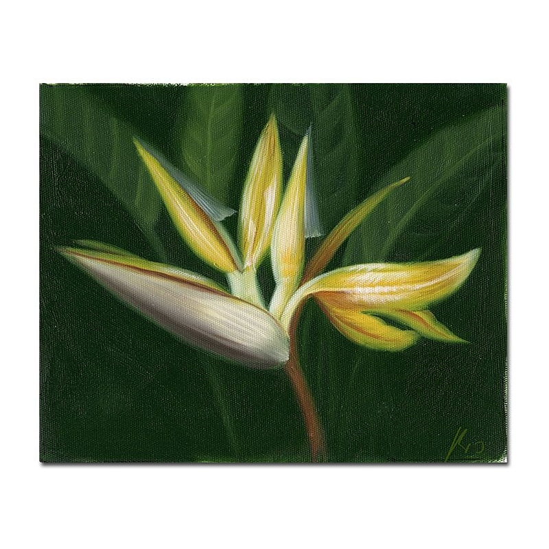 Trademark Fine Art Lilies' Canvas Art Ready to Hang 18x24 Inches image 1