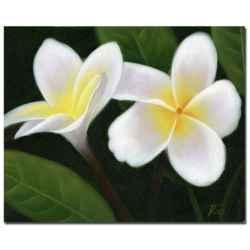 Trademark Fine Art Hawaiian Lei Flowers' Canvas Art Readu to Hang 35x47 Inches image 1